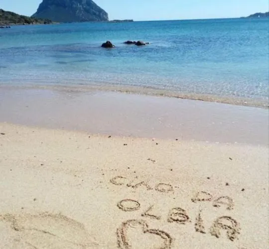 Marina Bed & Breakfast Olbia